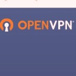 OpenVPN Client