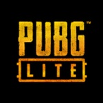 PUBG Lite for PC